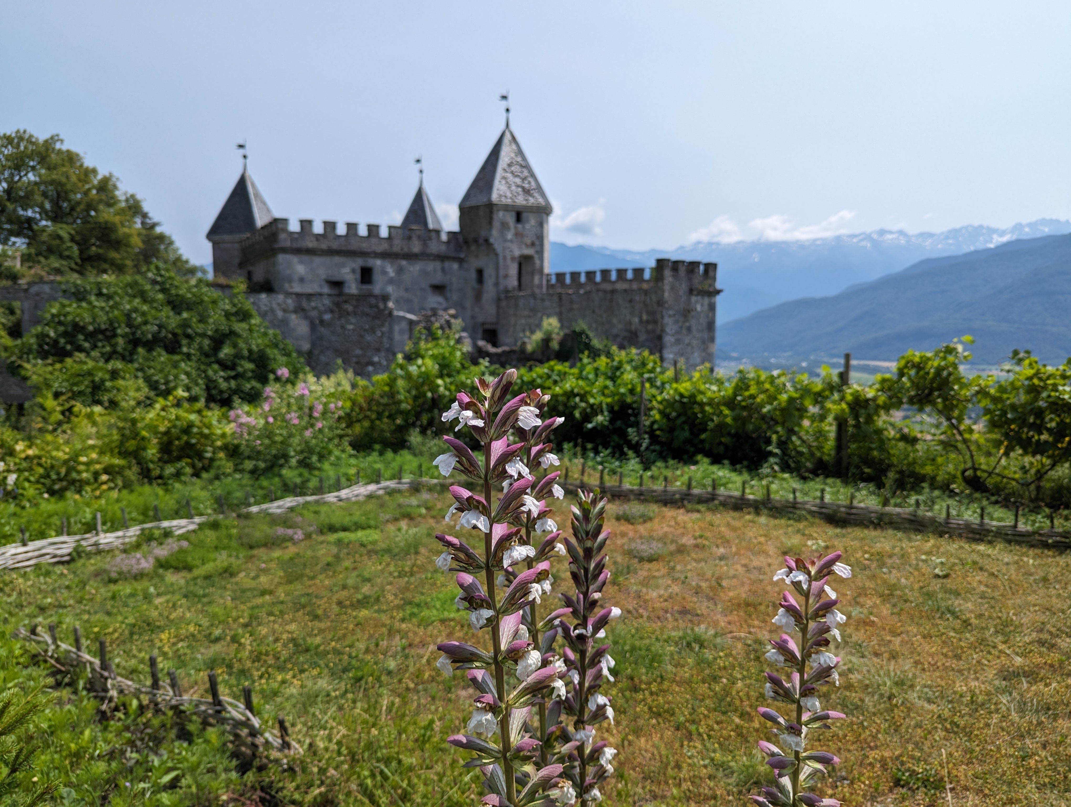 Modernizing Client Libraries in a .NET 4.8 Framework Application