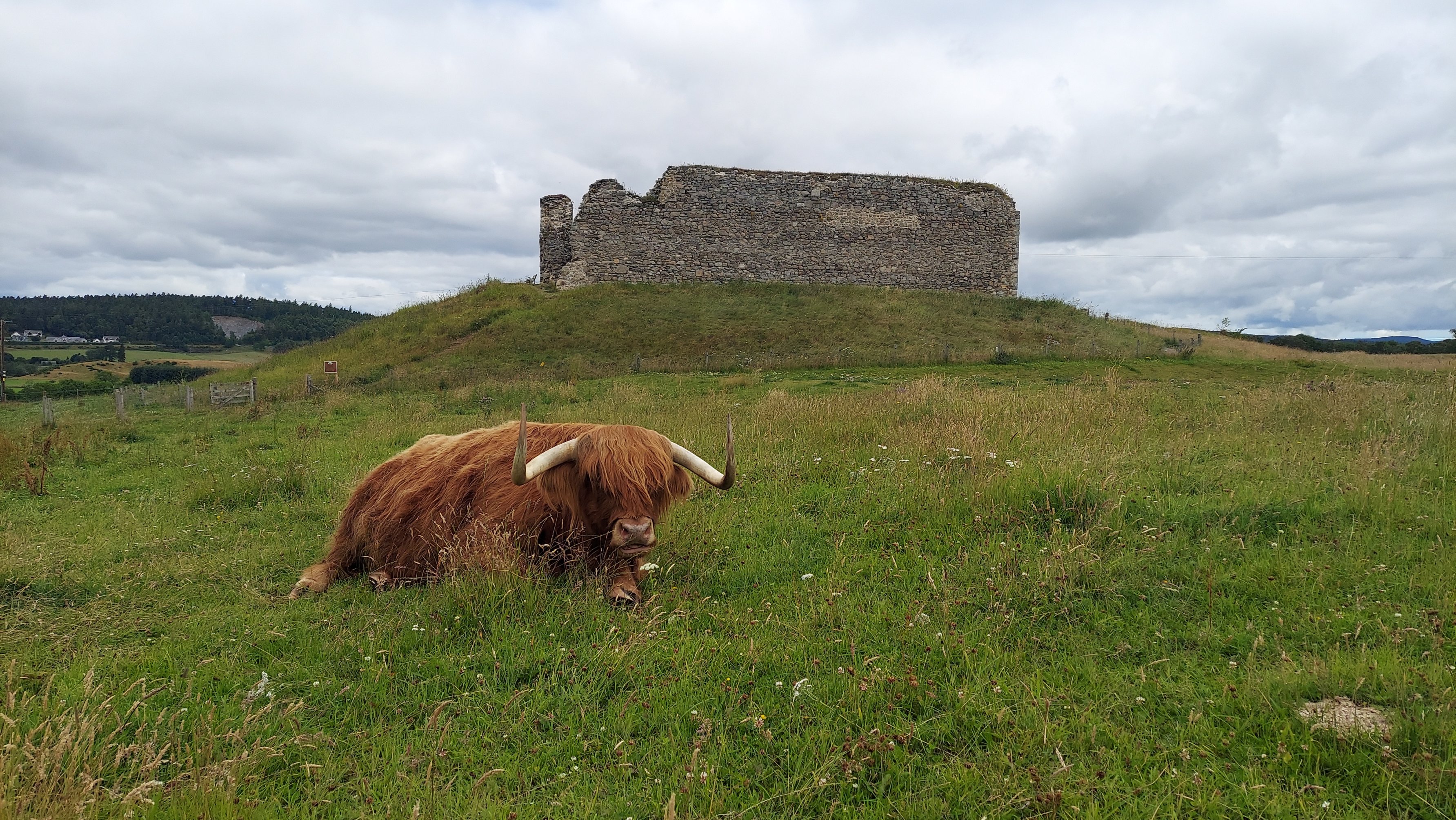 Building TeachSpark: AI-Powered Educational Technology for Teachers