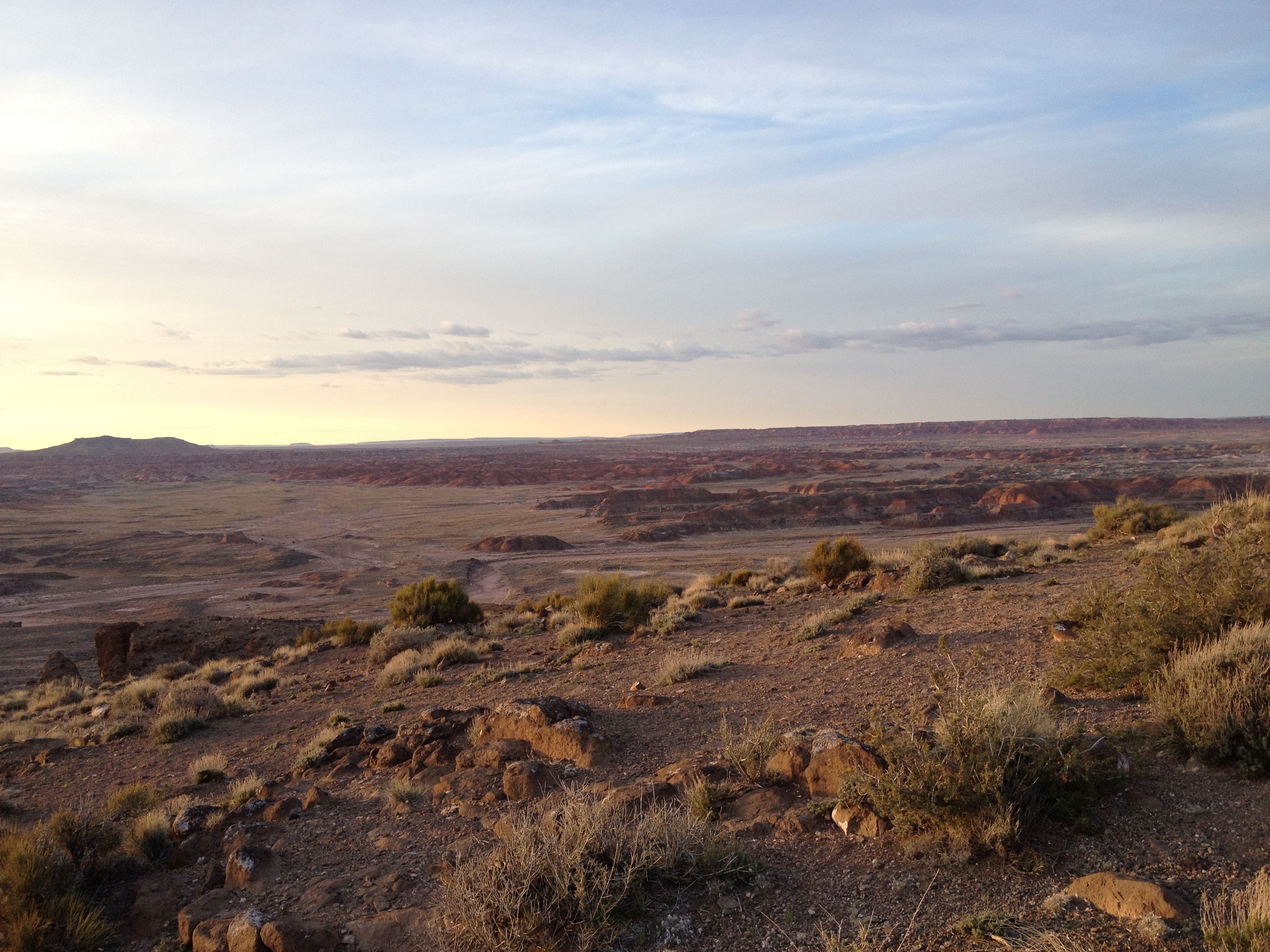 From README to Reality: Teaching an Agent to Bootstrap a UI Theme